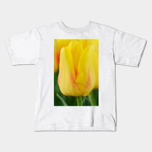 Tulipa  &#39;Ice Lolly&#39;  Tulip Kids T-Shirt